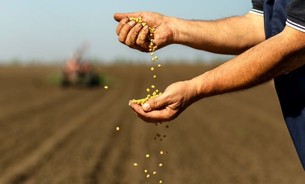 Regresan los temores por el impacto de La Niña en Sudamérica y hay fuertes subas para la soja