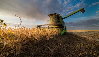 Soja: el tiempo es favorable para la cosecha en Estados Unidos, que ya cubre un 62%