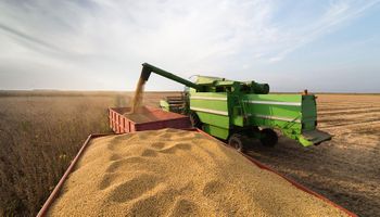 Nuevos recortes para la cosecha brasilera otorgan sustento al precio de la soja