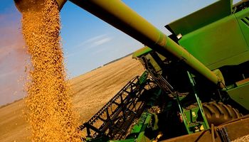 La soja cerró con fuertes subas en Chicago y en Rosario repuntó el volumen de ventas