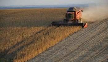 Informe del USDA: los datos destacados del reporte que impulsa a la soja