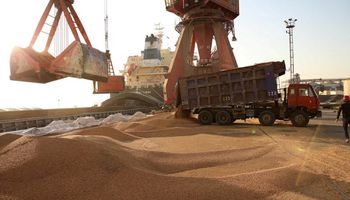 Soja: la drástica advertencia sobre la demanda china