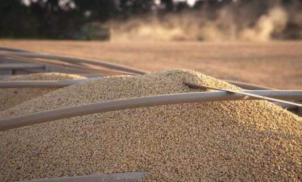 Soja: se esperan especificaciones del monto comprometido de compras por parte de China en el marco del acuerdo comercial.