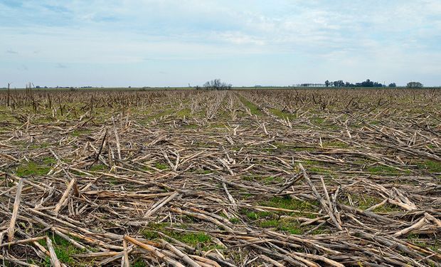 El Niño sigue en desarrollo y se esperan mayores temperaturas: 2023 podría ser el año más cálido