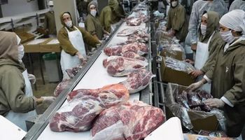China mantiene activa la demanda de carne, pero los precios cayeron un 20 % en relación con 2022