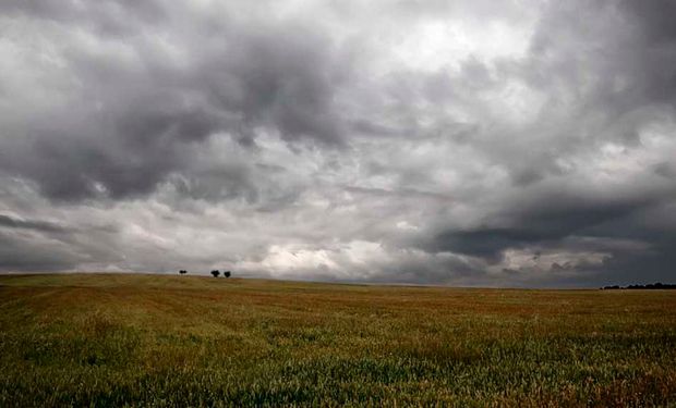 Pronóstico hasta diciembre: el este de la zona núcleo recibirá lluvias con valores superiores a los normales, mientras que el oeste tendrá valores normales