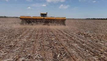 “No sobra nada”: se sembrará un millón de hectáreas de soja de primera en diciembre en la zona núcleo