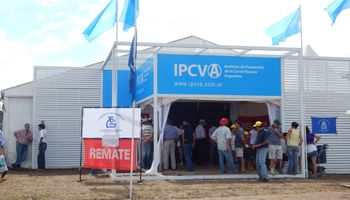 A pura ganadería en Expoagro