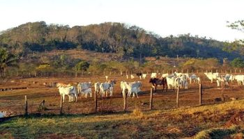 STF mantém restrições à compra de terras por empresas com capital estrangeiro