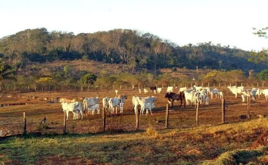 Decisão unânime valida lei de 1971 e reforça exigências para aquisição de imóveis rurais no Brasil