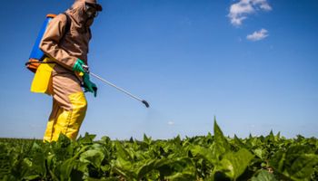 STF deve votar fim da isenção fiscal a defensivos agrícolas; impacto pode ultrapassar R$ 20 bilhões