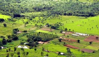 Decisão do STF sobre terras rurais abre espaço para novas estruturas de investimento estrangeiro