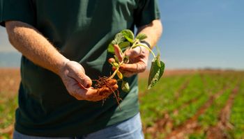 STF mantém lei do MT que proíbe incentivos a empresas da Moratória da Soja