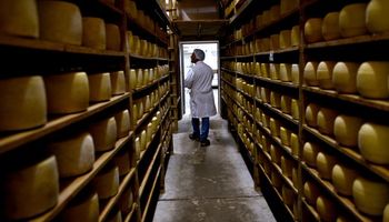 Stock de quesos duros se redujo a un mínimo histórico