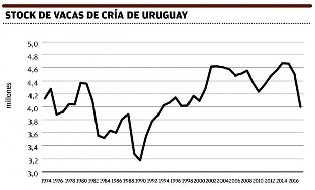 El stock vacuno de Uruguay bajará este año y en 2017; caerán categorías claves.