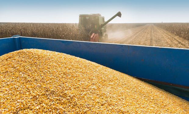 Poco cambio a la espera del USDA.