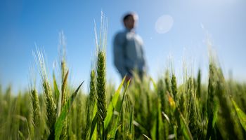 El cambio en el campo ya empezó: “Las nuevas generaciones están tomando el desafío de producir de forma más sustentable”