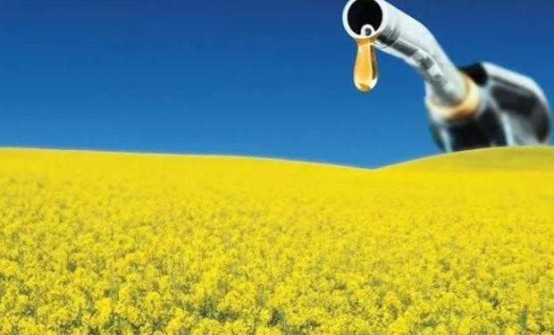 StoneX projeta crescimento do consumo de biodiesel em 2025 e 2026