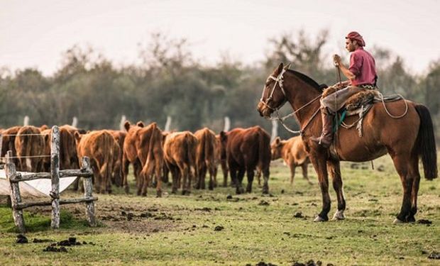 Los trabajadores rurales podrán tomarse hasta diez días con goce de sueldo por enfermedad o accidente de familiar