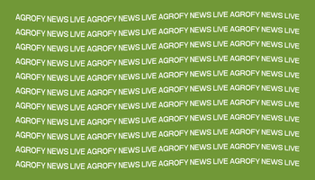 Agrofy News Live: medialunas del campo a la mesa, ¿carne trazada?, qué pasa con la AFIP y una serie desde adentro del campo