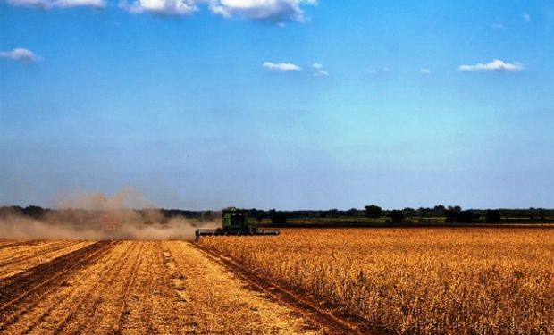 Suba de retenciones: por qué es ilegal la medida que representa solo el 0,4% de la recaudación