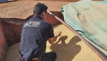 Subastan granos y herbicidas incautados: cómo participar