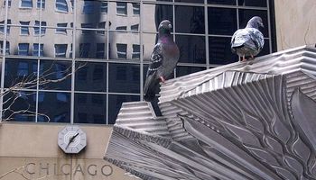 Cierre de semana con subas en Chicago