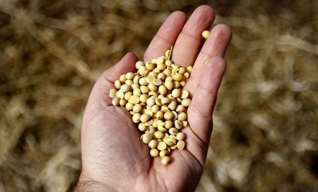 Volatilidad: fuertes subas y recuperación para la soja, el trigo y el maíz en Chicago