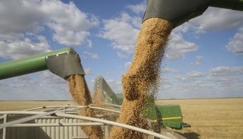 Soja en el sube y baja: fuerte repunte para cerrar la semana