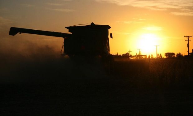 Quinta suba consecutiva para el precio de la soja: se destaca la firmeza del aceite de palma y la demanda de China