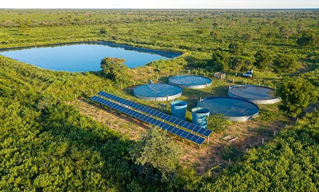 Subasta inédita en Paraguay: rematan una estancia de 24.338 hectáreas que está lista para ampliar la producción agropecuaria