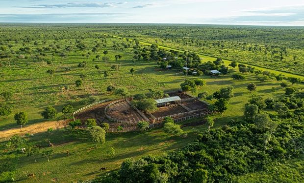 Subasta histórica en Paraguay: a qué precio se vendió el establecimiento de 24.388 hectáreas