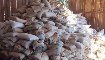 AFIP subasta más de 200 toneladas de soja: cómo participar