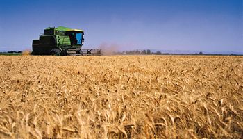 Brasil destina US$ 156 millones para contener la caída del trigo
