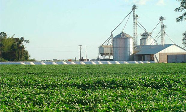 Brasil en contra de los subsidios agrícolas