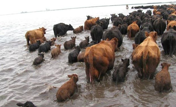 La medida tambien alcanza a pescadores artesanales afectados por la crecida del Río Paraná.