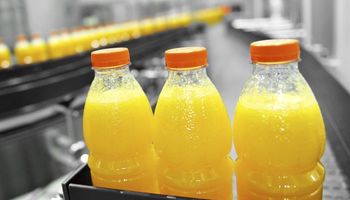 Indústrias de citrus iniciam moagem da safra 2023/2024, diz Cepea/USP