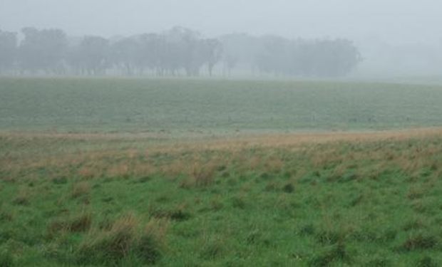 Las lluvias en el sudeste boanerense.