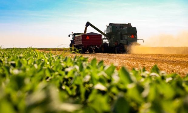 El mercado de granos mira el clima de EEUU tras conocerse el informe del USDA