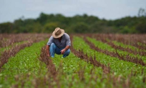 Cuánto cobra un ingeniero agrónomo: los salarios de cada provincia y la diferencia contra un profesional del agro en el exterior