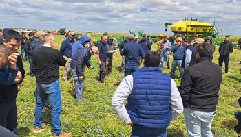 Manejan un campo de 40.000 hectáreas y se volvieron ejemplo: ya no tienen malezas, usan menos agroquímicos y hasta transforman el agua de lluvia en "riego"