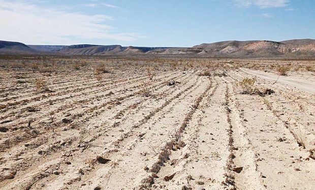 El principal problema que hoy presentan los suelos de la Región Pampeana es la fertilidad.