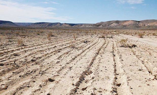 El principal problema que hoy presentan los suelos de la Región Pampeana es la fertilidad.