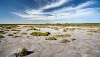 El producto para suelos salinos que promete sumar 12 millones de hectáreas agrícolas solo en Argentina