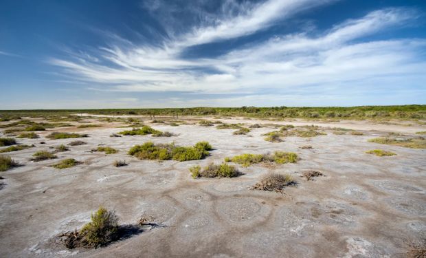 El producto para suelos salinos que promete sumar 12 millones de hectáreas agrícolas solo en Argentina