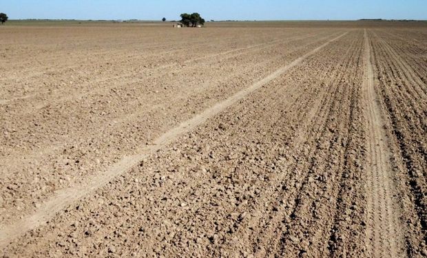 Biodiversidad, erosión, desbalance y agotamiento de nutrientes: las principales amenazas que sufren los suelos