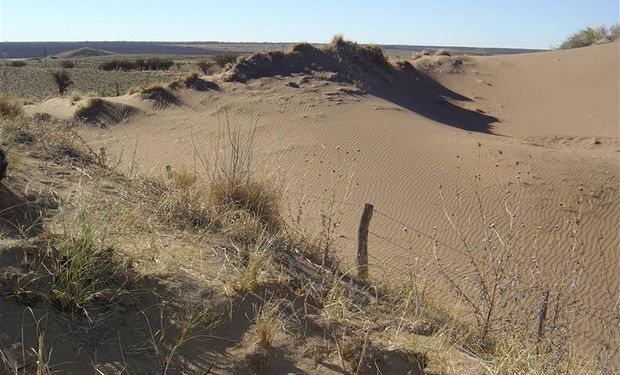 En la Argentina existen 105 millones de hectáreas erosionadas.