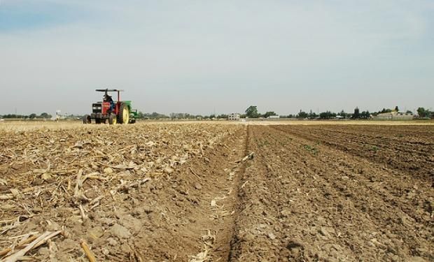 En la Región Pampeana estudian el efecto de los insumos tecnológicos