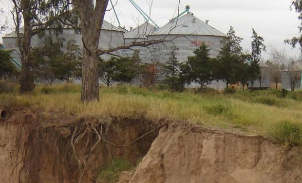 En La Margarita, el agua comienza a amigarse con el suelo y los cultivos