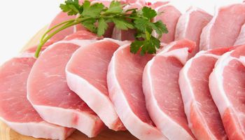 Exportações de carne suína avançam em maio e receita acumula alta de 29,8% em 2025